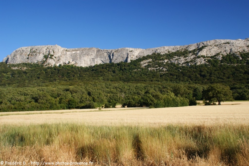 La Sainte-Baume en Provence verte