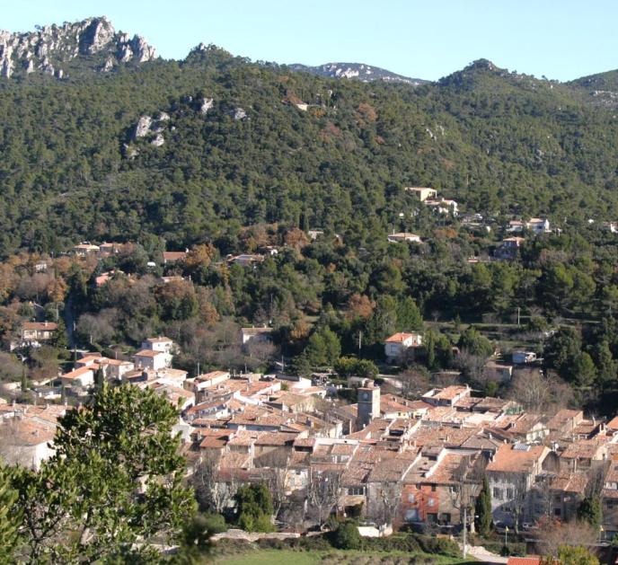 La Roquebrussanne  - La Roco-Brussano