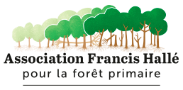 Forêts en libre évolution