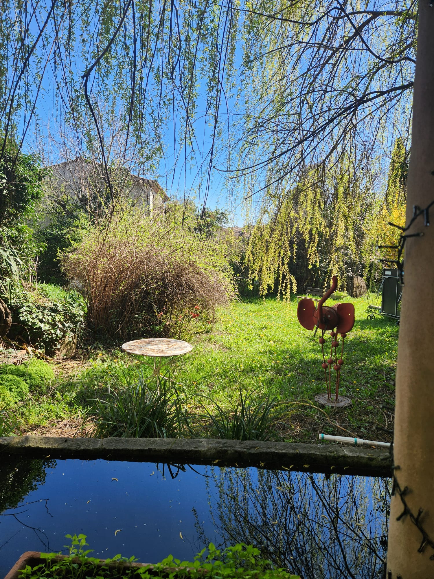 Provence Verte : Quand l'assiette devient un levier de solidarité et d'économie locale